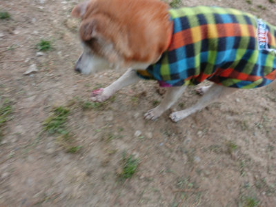 f:id:roukenhome-ann:20190429190716j:plain