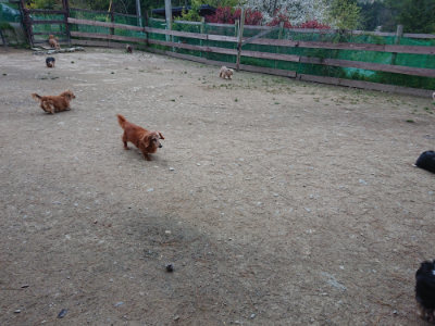 f:id:roukenhome-ann:20190429190732j:plain