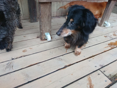 f:id:roukenhome-ann:20190429190743j:plain