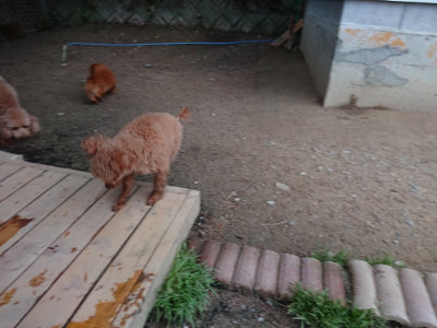 f:id:roukenhome-ann:20190429190759j:plain