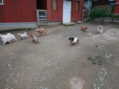 f:id:roukenhome-ann:20190429190855j:plain