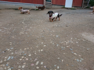 f:id:roukenhome-ann:20190429190900j:plain