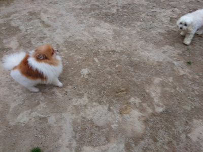f:id:roukenhome-ann:20190429190944j:plain