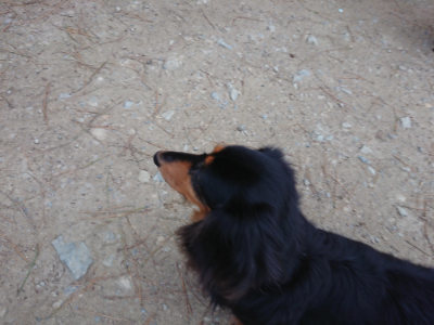 f:id:roukenhome-ann:20190429191036j:plain