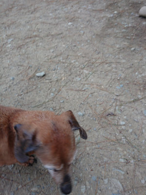 f:id:roukenhome-ann:20190429191040j:plain
