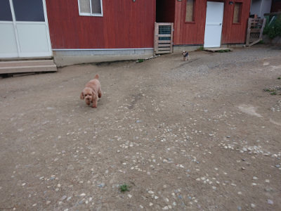 f:id:roukenhome-ann:20190429191108j:plain