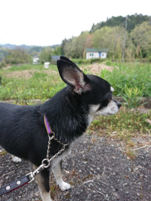 f:id:roukenhome-ann:20190429191124j:plain