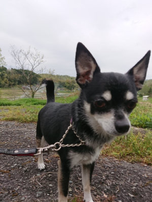 f:id:roukenhome-ann:20190429191130j:plain