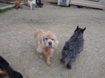 f:id:roukenhome-ann:20190429191141j:plain
