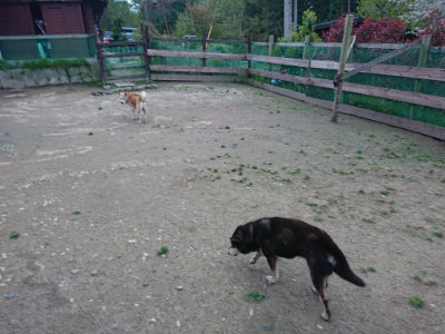 f:id:roukenhome-ann:20190429191757j:plain