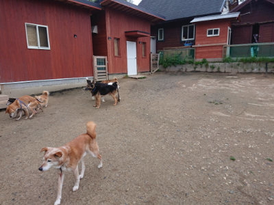 f:id:roukenhome-ann:20190429191822j:plain