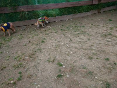 f:id:roukenhome-ann:20190429191914j:plain