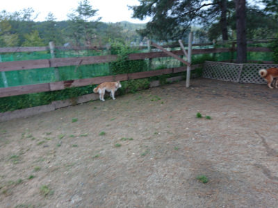 f:id:roukenhome-ann:20190429191956j:plain