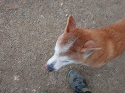 f:id:roukenhome-ann:20190429192002j:plain