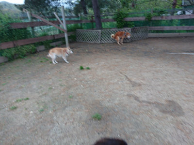 f:id:roukenhome-ann:20190429192006j:plain