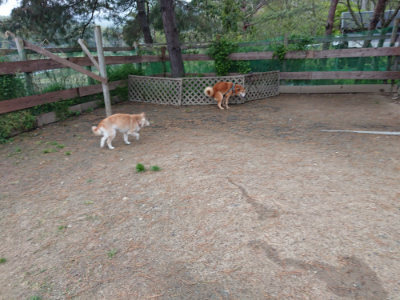 f:id:roukenhome-ann:20190429192028j:plain