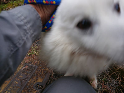 f:id:roukenhome-ann:20190429192040j:plain