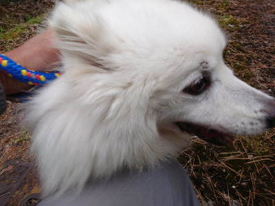 f:id:roukenhome-ann:20190429192046j:plain