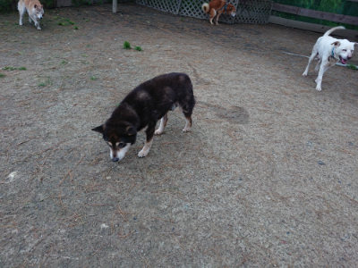 f:id:roukenhome-ann:20190429192135j:plain