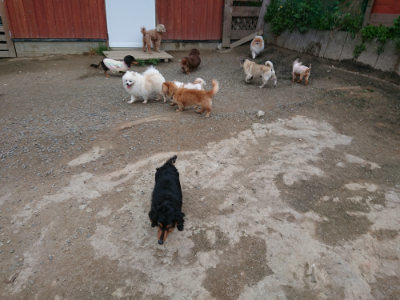 f:id:roukenhome-ann:20190429192149j:plain