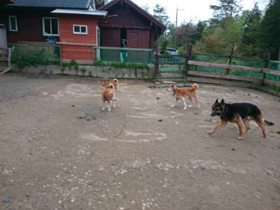 f:id:roukenhome-ann:20190429192202j:plain