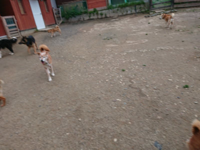 f:id:roukenhome-ann:20190429192229j:plain
