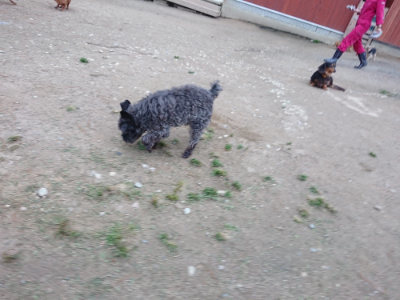 f:id:roukenhome-ann:20190429192322j:plain