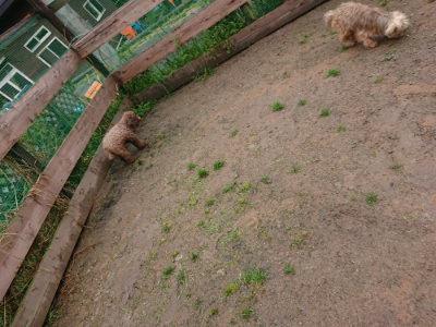 f:id:roukenhome-ann:20190430191354j:plain
