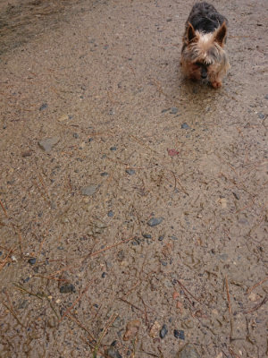 f:id:roukenhome-ann:20190430191512j:plain