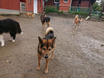 f:id:roukenhome-ann:20190430191518j:plain