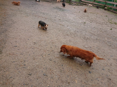 f:id:roukenhome-ann:20190430191531j:plain