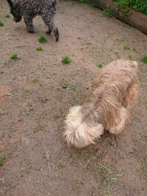 f:id:roukenhome-ann:20190430191633j:plain