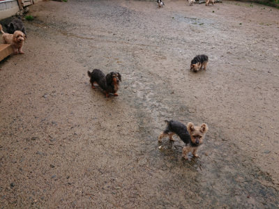 f:id:roukenhome-ann:20190430191755j:plain