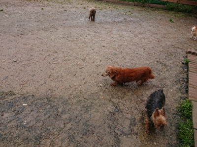 f:id:roukenhome-ann:20190430191801j:plain