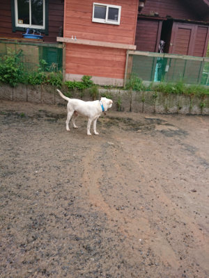 f:id:roukenhome-ann:20190430192024j:plain