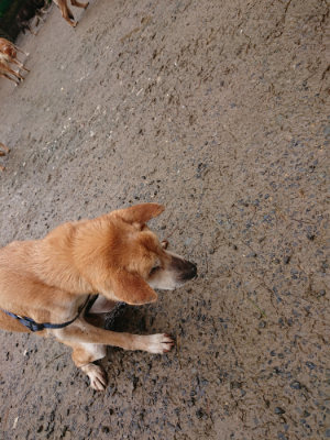 f:id:roukenhome-ann:20190430192054j:plain