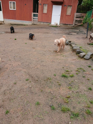 f:id:roukenhome-ann:20190430192314j:plain