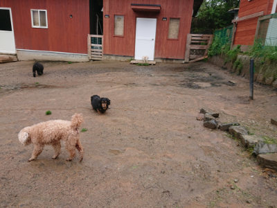 f:id:roukenhome-ann:20190430192335j:plain