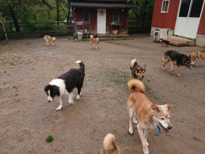 f:id:roukenhome-ann:20190430192420j:plain