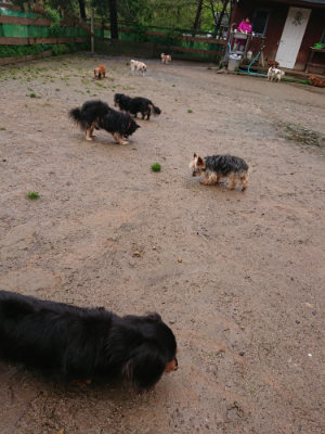 f:id:roukenhome-ann:20190430192426j:plain