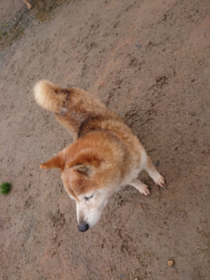 f:id:roukenhome-ann:20190430192439j:plain