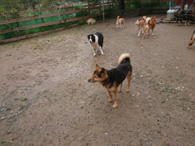 f:id:roukenhome-ann:20190430192503j:plain