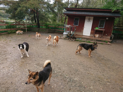 f:id:roukenhome-ann:20190430192509j:plain