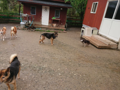 f:id:roukenhome-ann:20190430192518j:plain