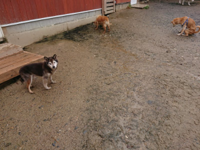 f:id:roukenhome-ann:20190430192536j:plain