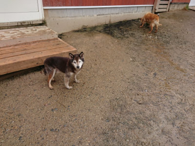 f:id:roukenhome-ann:20190430192546j:plain