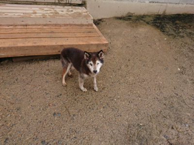 f:id:roukenhome-ann:20190430192551j:plain
