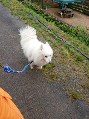 f:id:roukenhome-ann:20190430192711j:plain