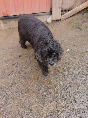 f:id:roukenhome-ann:20190430192722j:plain