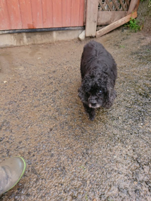f:id:roukenhome-ann:20190430192800j:plain